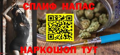 стафф Каменск-Шахтинский