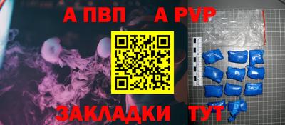 стафф Каменск-Шахтинский