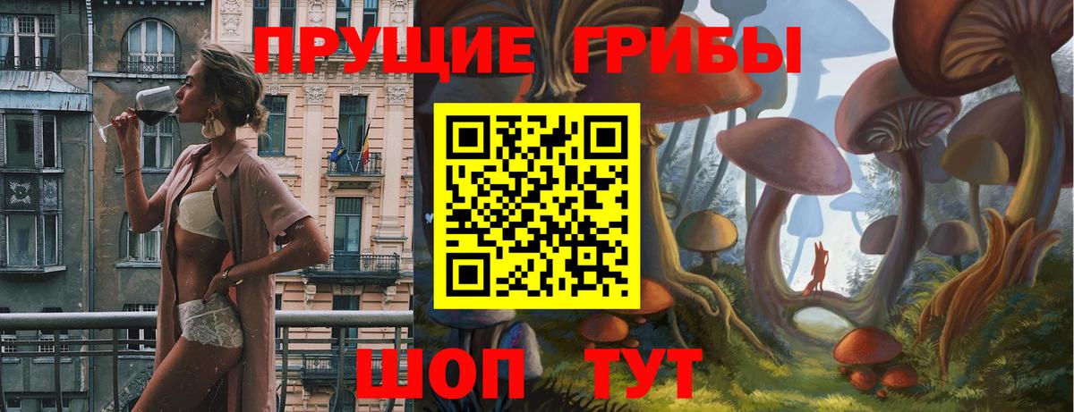 Псилоцибиновые грибы Psilocybine cubensis Богородск