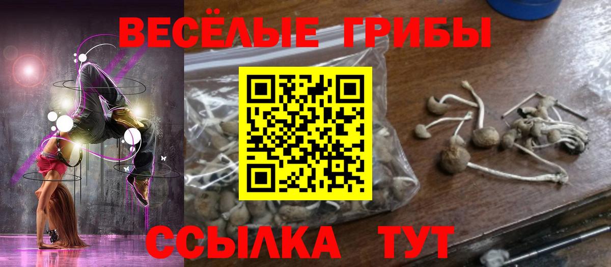 Галлюциногенные грибы MAGIC MUSHROOMS  Вход с VPN  купить закладку  Галлюциногенные грибы Cubensis  Богородск 